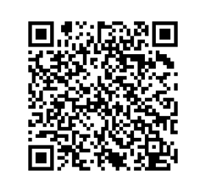 QR Code PIX